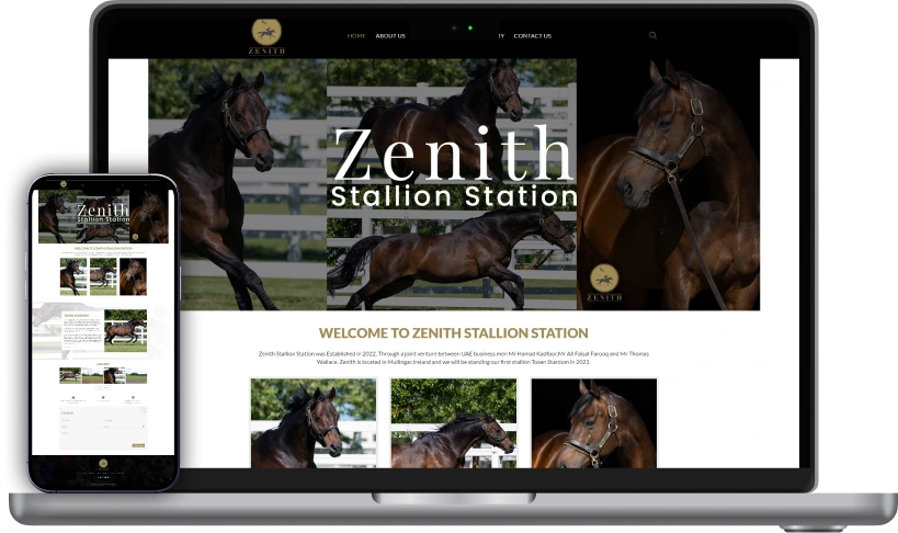 zenith-port Software Development Company Portfolio